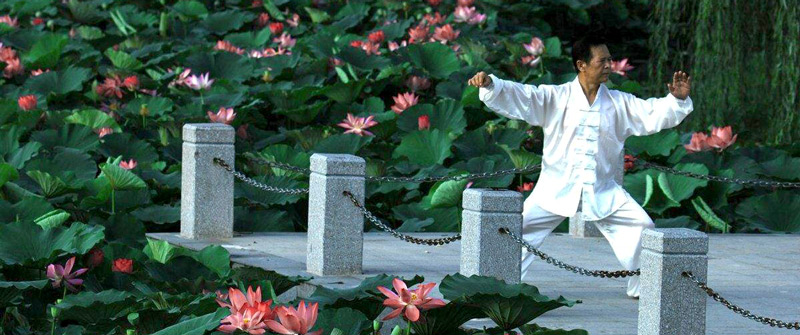 An Introduction to the Six Harmonies in Taijiquan